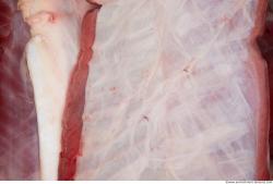 Photo Textures of RAW Pork Meat